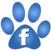 facebook1