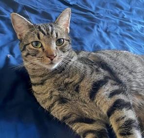 Click for more information about Billy Billy